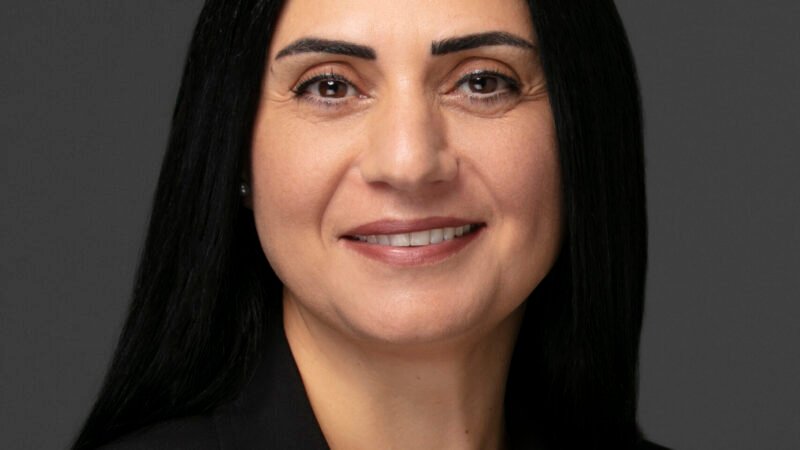 Hatasız Lider Olmaz: Geçmişten Bugüne Liderler, Hataları ve Öğrettikleri