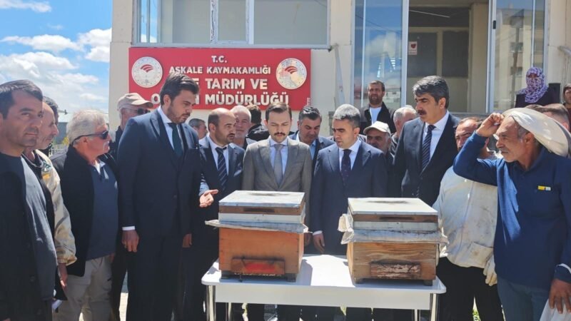 Akfen Yenilenebilir Enerji’den Dünya Arı Günü Kapsamında Aşkale’de Üreticilere Yüzde 70 Hibeli Arılı Kovan Desteği