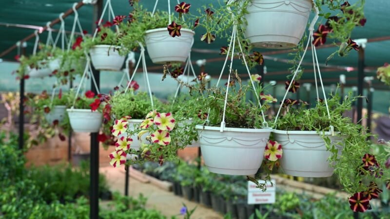 Kepez Bahçe Market Antalya’nın hizmetine açılıyor